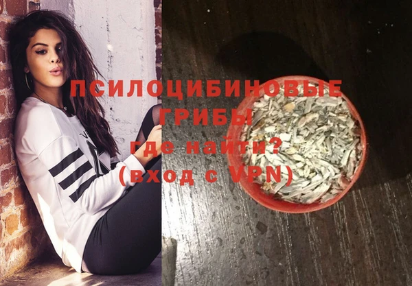 дживик Снежногорск