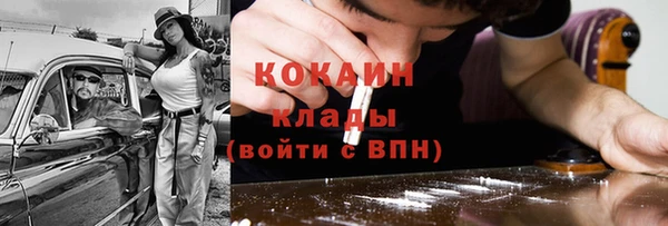 дживик Снежногорск