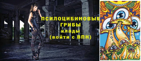 a pvp Слюдянка