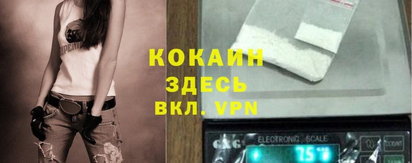 дживик Снежногорск