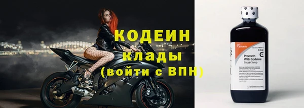дживик Снежногорск