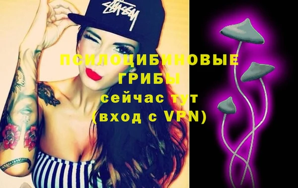 дживик Снежногорск