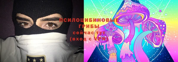 дживик Снежногорск