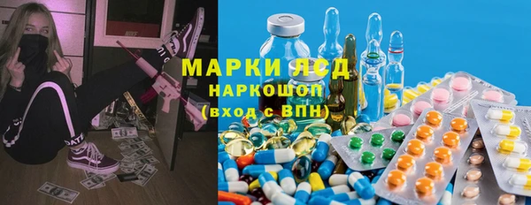дживик Снежногорск