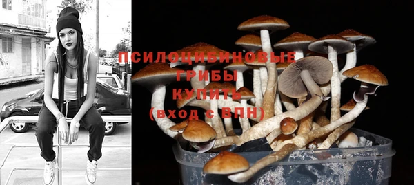 дживик Снежногорск