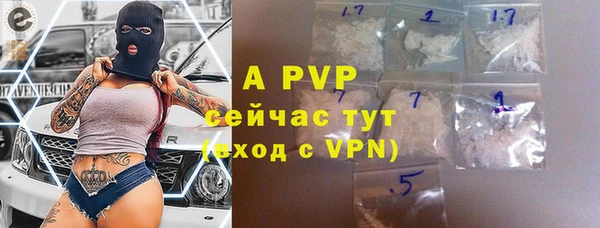 дживик Снежногорск