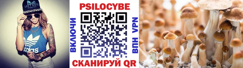 Псилоцибиновые грибы прущие грибы  ОМГ ОМГ ССЫЛКА  Урень 